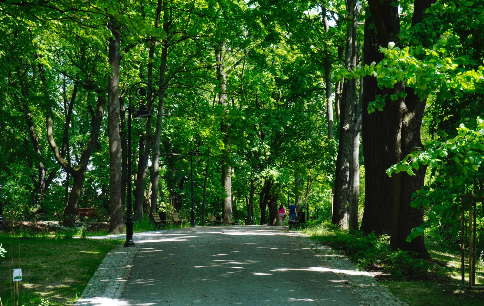 Park im.Wojciecha Bednarskiego w Podgórzu
