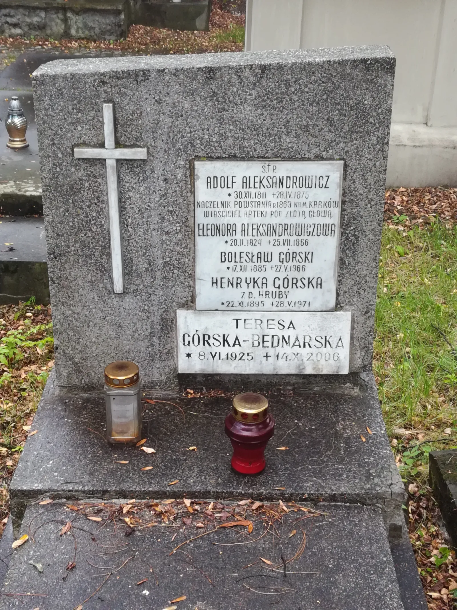 Adolf Aleksandrowicz