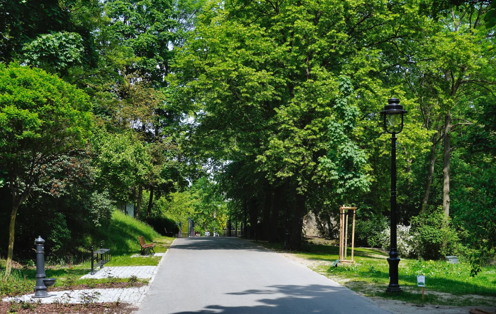 Park im.Wojciecha Bednarskiego w Podgórzu