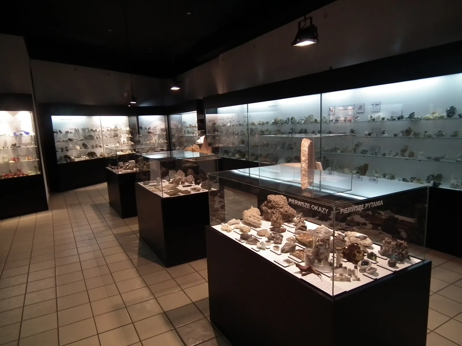 Muzeum Przyrodnicze Instytutu Systematyki i Ewolucji Zwierząt PAN w Krakowie
